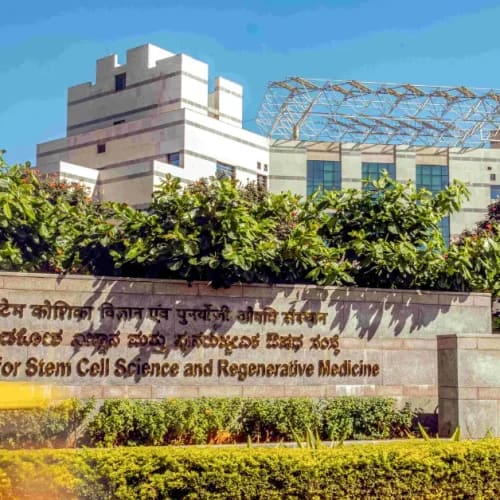 InStem Recruitment 2025 – Apply Online 02 Project Associate