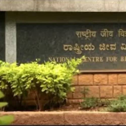 NCBS Recruitment 2025 – Apply 01 Project Research Scientist